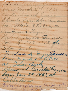 Birth Records, page #2