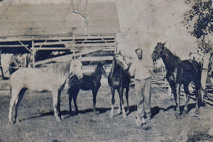 George with horses